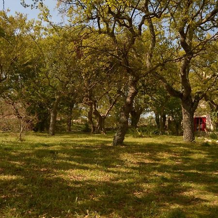 Par Tot Konuk evi Locorotondo Dış mekan fotoğraf