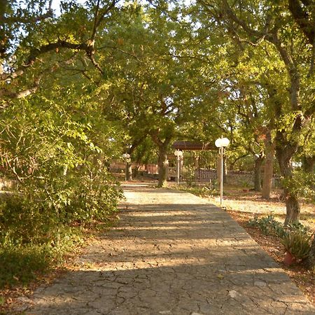 Par Tot Konuk evi Locorotondo Dış mekan fotoğraf
