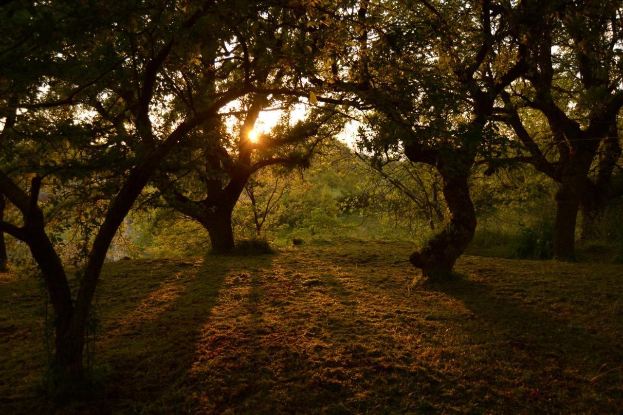 Par Tot Konuk evi Locorotondo Dış mekan fotoğraf