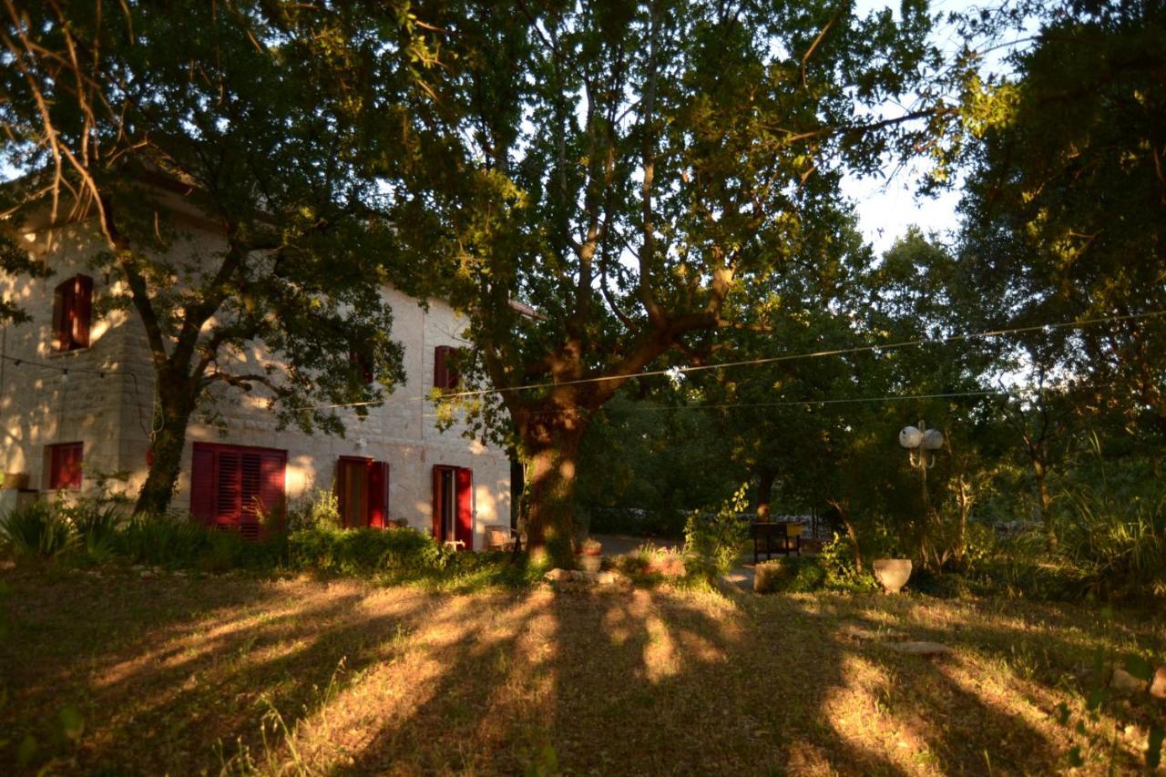 Par Tot Konuk evi Locorotondo Dış mekan fotoğraf