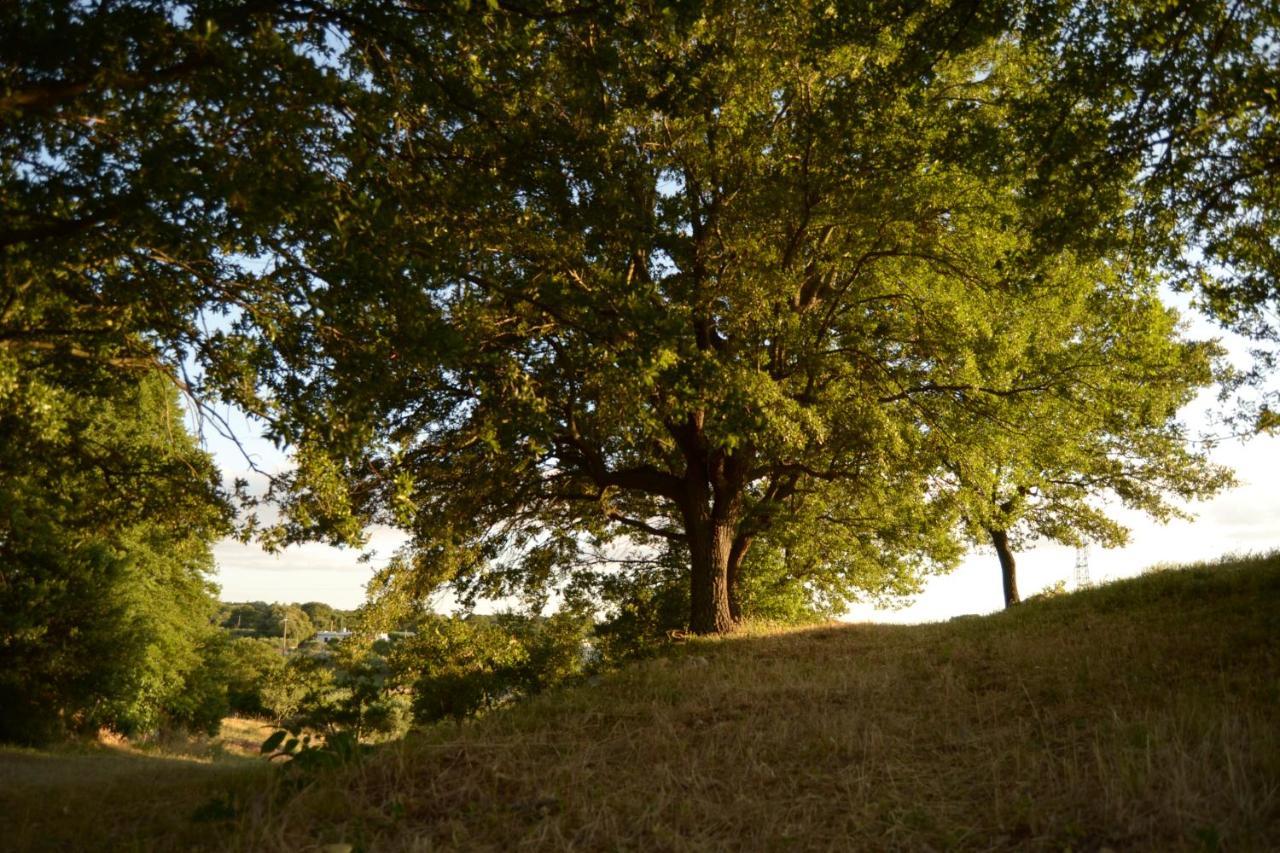 Par Tot Konuk evi Locorotondo Dış mekan fotoğraf