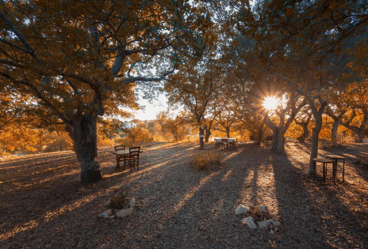 Par Tot Konuk evi Locorotondo Dış mekan fotoğraf