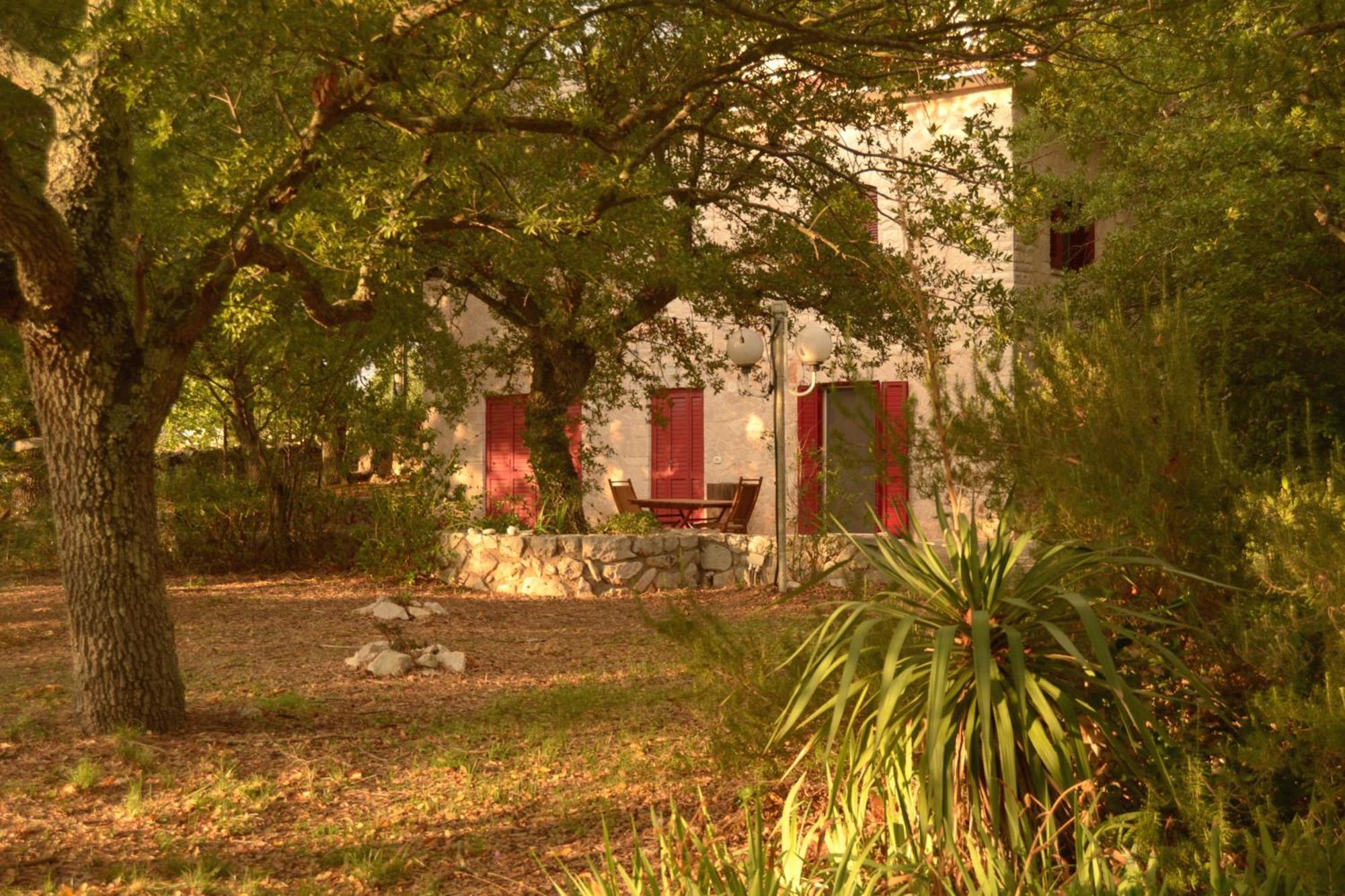 Par Tot Konuk evi Locorotondo Dış mekan fotoğraf
