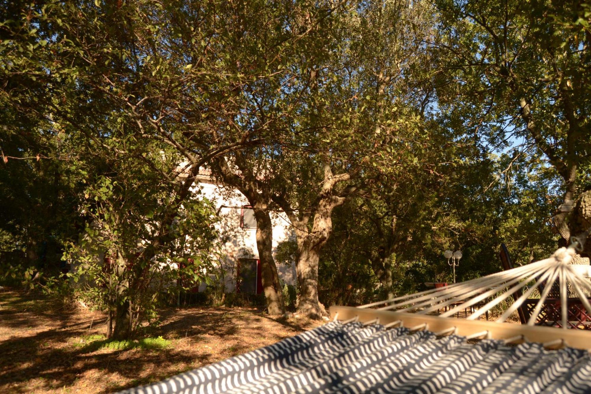 Par Tot Konuk evi Locorotondo Dış mekan fotoğraf