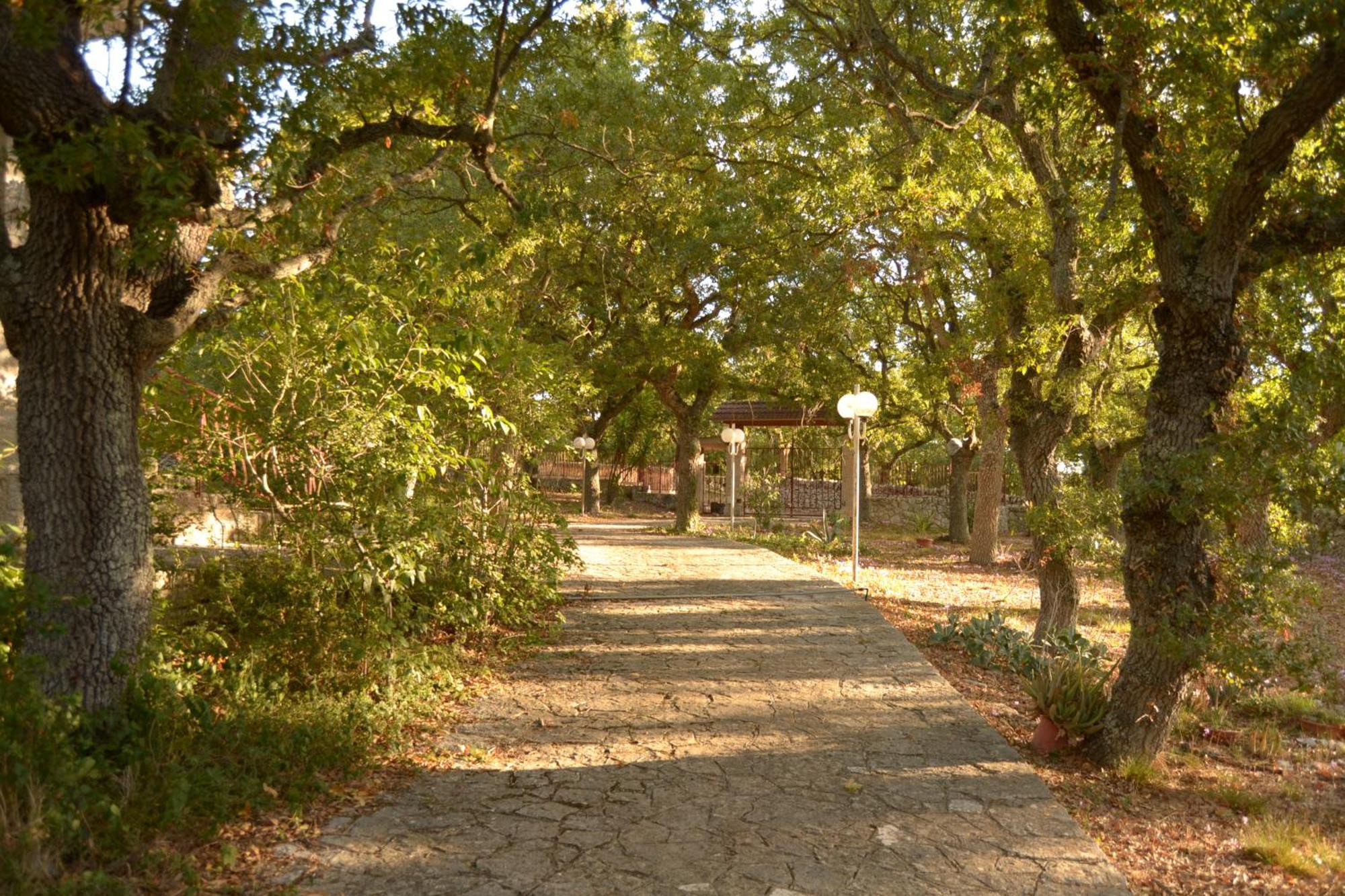 Par Tot Konuk evi Locorotondo Dış mekan fotoğraf