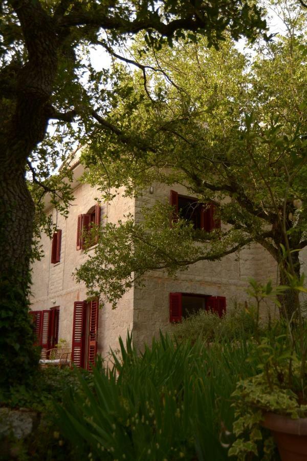 Par Tot Konuk evi Locorotondo Dış mekan fotoğraf