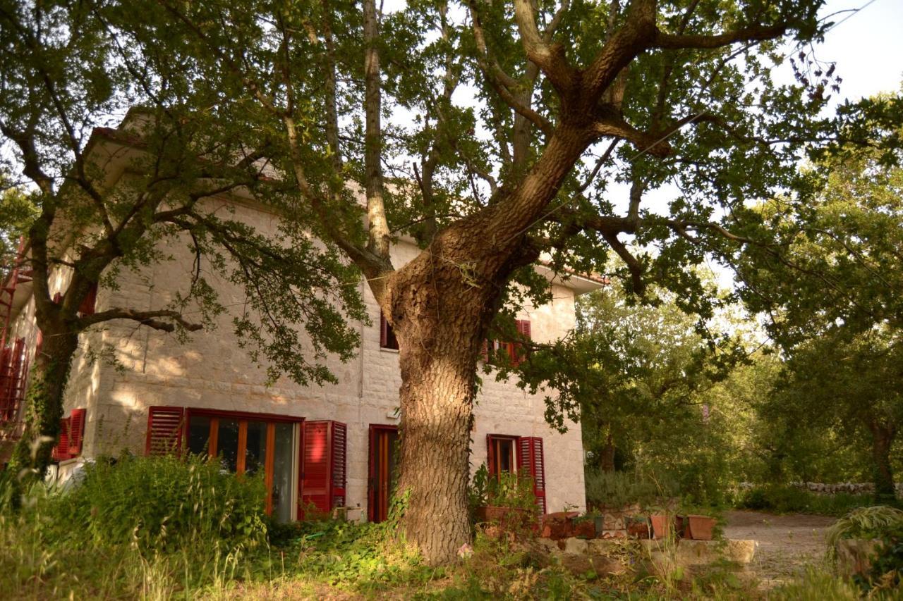 Par Tot Konuk evi Locorotondo Dış mekan fotoğraf