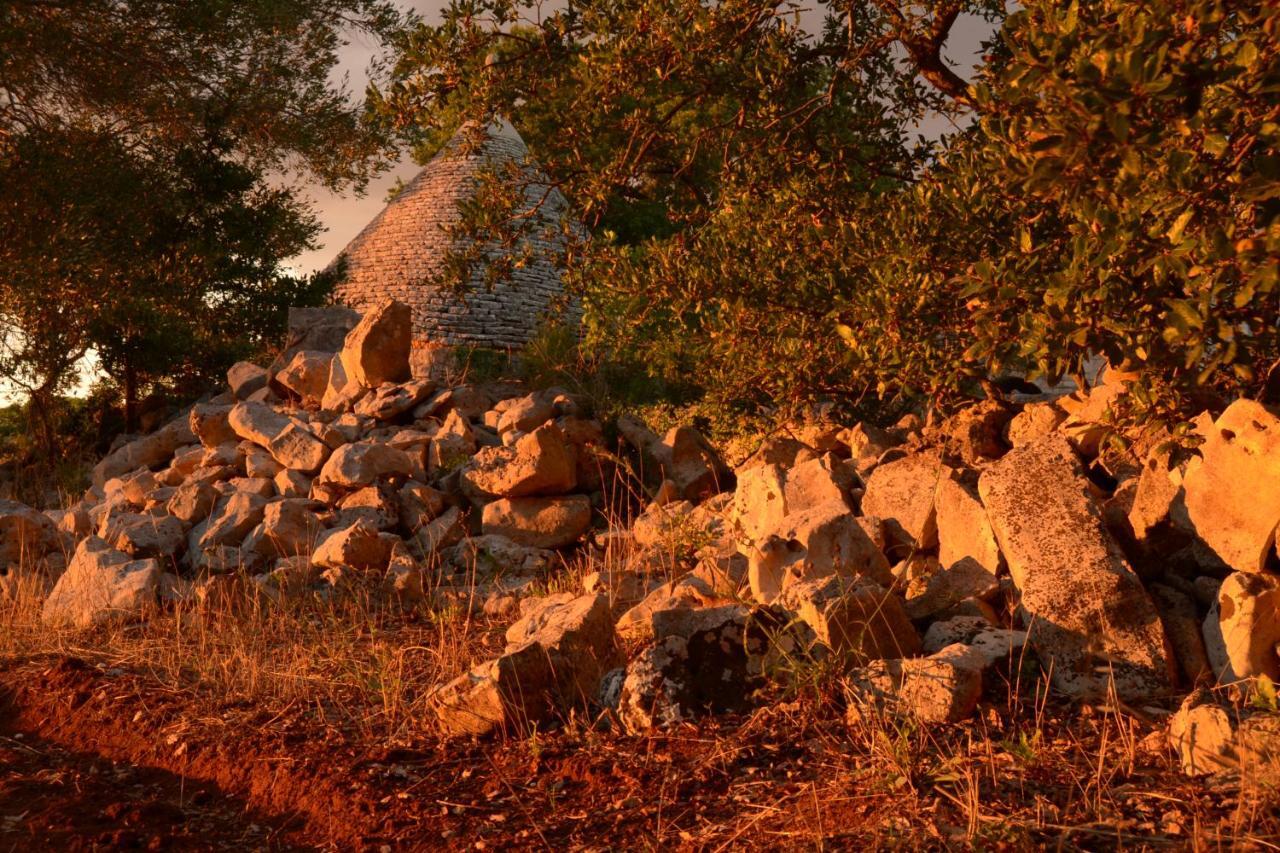Par Tot Konuk evi Locorotondo Dış mekan fotoğraf